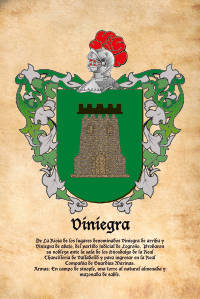 Escudo heráldico del apellido VINIEGRA