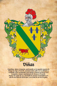 Escudo heráldico del apellido VIÑAS