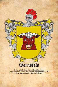 Escudo heráldico del apellido WERNSTEIN