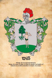 Escudo heráldico del apellido WILD