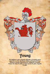 Escudo heráldico del apellido YOUNG