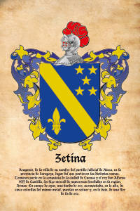 Escudo heráldico del apellido ZETINA